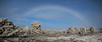 Snowbow (Sands, Drouwen, the Netherlands)